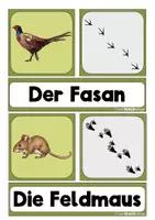 Vorschau - Stationenlernen - Waldtiere - Tierspuren - Zuordnungsspiel - Seite 3