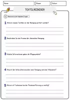 Vorschau - Arbeitsblätter - Textilreiniger Beruf Arbeitsblätter mit Fragen + Lösungen Deutsch DaZ AB - Seite 3