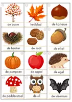 Voorbeeld - Woordkaarten de herfst - Pagina 1