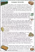 Vorschau - Arbeitsblätter - Kartoffel - Seite 2