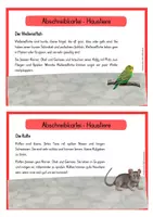 Vorschau - Stationenlernen - Abschreibkartei - Haustiere - 12 Tiere - Seite 2
