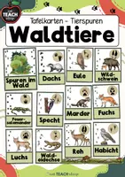 Vorschau - Stationenlernen - Waldtiere - Tierspuren - Tafelkarten - Deckblatt