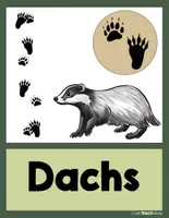 Vorschau - Stationenlernen - Waldtiere - Tierspuren - Tafelkarten - Seite 2