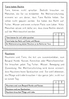 Vorschau - Aufgabenkarten - Lesekartei - Welttierschutztag - Seite 2