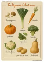 Aperçu - Feuilles d'exercices - Fiches les légumes d'automne Monpetitcoindief - Page de couverture