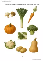 Aperçu - Feuilles d'exercices - Fiches les légumes d'automne Monpetitcoindief - Page 2