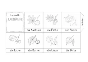 Vorschau - Arbeitsblätter - Leporello Laubbäume - 4 Vorlagen - Seite 1