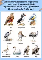 Vorschau - Arbeitsblätter - Heimische und exotische Vögel – Lernposter zum Erkennen, Benennen und Entdecken von 57 Arten - Seite 3