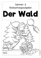 Vorschau - Arbeitsblätter - Der Wald - Sammel- und Beobachtungsaufgaben - Seite 1