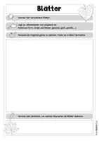 Vorschau - Arbeitsblätter - Der Wald - Sammel- und Beobachtungsaufgaben - Seite 2