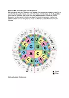 Vorschau - Arbeitsblätter - Klausur -Melaninsynthese: Genetik, Mutation, Proteinbiosynthese (PBS) - Seite 3