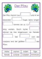 Vorschau - Stundenentwürfe - Sachliche Lückentexte - Tiere der Welt - Seite 1