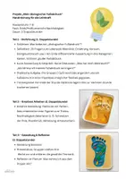 Vorschau - Arbeitsblätter - Projekt: mein ökologischer Fußabdruck - Seite 1