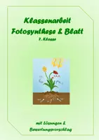 Vorschau - Arbeitsblätter - klassenarbeit-blatt-und-fotosynthese-klasse-7 - Deckblatt