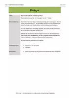 Vorschau - Arbeitsblätter - klassenarbeit-blatt-und-fotosynthese-klasse-7 - Seite 2