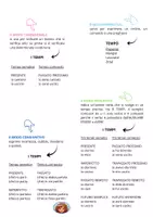 anteprima - Materiale di supporto/inclusione - MAPPA DEL VERBO - Pagina 1
