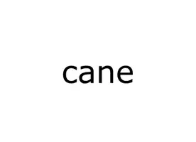 anteprima - Materiale di supporto/inclusione - Animali flash cards. - Pagina 1