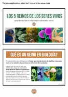 Vista previa - Hojas de trabajo - Los 5 reinos de los seres vivos - Tesoros Brillantes - página 2