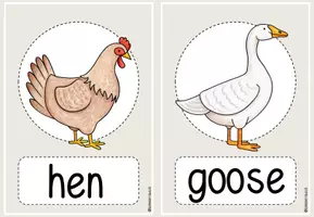 Vorschau - Präsentationen/Tafelbilder - farm animals: flashcards/Bildkarten - word and picture - Seite 3
