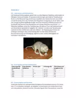 Vorschau - Arbeitsblätter - Klausur: Evolution, Verwandtenselektion, Eusozialität - Seite 1