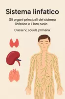 anteprima - Presentazioni / Lavagne - Gli organi principali del sistema linfatico - Pagina di copertina