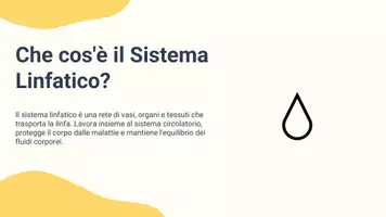 anteprima - Presentazioni / Lavagne - Raccolta di materiali: Sistema linfatico (presentazioni) - Pagina 2