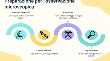 anteprima - Presentazioni / Lavagne - La cellula vegetale al microscopio - Pagina 3