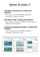 Vorschau - Arbeitsblätter - Wimmelbilder Herbst - Strichlisten ZR 10 (Freiarbeit) - Seite 1