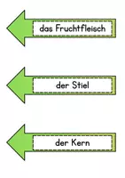 Vorschau - Poster - Tafelmaterial Teile des Apfels - Seite 3