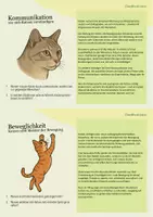 Vorschau - Arbeitsblätter - Entdecker-Karten Katzen: Spannendes Wissen – mit Aufgaben zum Weiterdenken - Seite 2