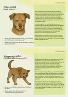 Vorschau - Stationenlernen - Entdecker-Karten Hunde: Spannendes Wissen – mit Aufgaben zum Weiterdenken - Seite 2