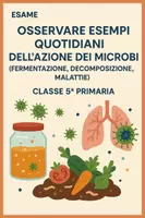 anteprima - Compiti in classe/Test - Esame: osservare esempi quotidiani dell’azione dei microbi - Pagina di copertina