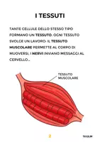 anteprima - Materiale di supporto/inclusione - Scienze Facili - Il Corpo Umano - Pagina 2