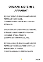 anteprima - Materiale di supporto/inclusione - Scienze Facili - Il Corpo Umano - Pagina 3