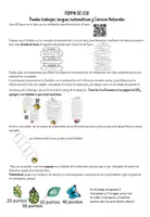 Vista previa - Unidades / Secuencias / Situaciones de Aprendizaje - UNIDAD DIDÁCTICA METAMORFÓSIS - página 3