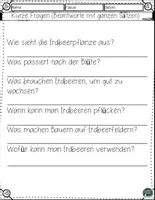 Vorschau - Arbeitsblätter - Wie Erdbeeren wachsen – Leseverständnis Arbeitsblätter mit Lösungen - Seite 3