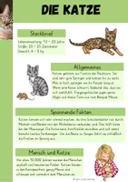 Vorschau - Arbeitsblätter - Katze als Haustier - Seite 2