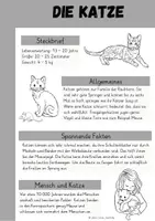 Vorschau - Arbeitsblätter - Katze als Haustier - Seite 3