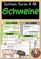 Vorschau - Arbeitsblätter - Schwein - Sachtext, Kartei und Arbeitsblatt - Deckblatt