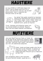 Vorschau - Arbeitsblätter - Haustiere & Nutztiere Sachtext und Arbeitsblatt - Seite 2