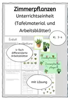Vorschau - Unterrichtsreihen - Zimmerpflanzen Topfpflanzen Pflanzen Schulgarten - Deckblatt