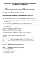 anteprima - Esercizi - Gli organi principali del sistema linfatico: esame - Pagina 1