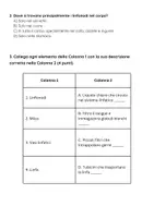 anteprima - Esercizi - Gli organi principali del sistema linfatico: esame - Pagina 2