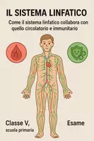 anteprima - Compiti in classe/Test - Esame: sistema linfatico, circolatorio e immunitario - Pagina di copertina