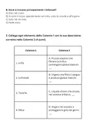 anteprima - Esercizi - Raccolta di materiali: Sistema linfatico (esami) - Pagina 2