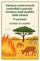 anteprima - Esercizi - SL valutare come incendi e pascolo incidano sulla savana - Pagina di copertina