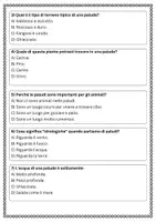 anteprima - Esercizi - SL caratteristiche idrologiche che definiscono una palude - Pagina 2