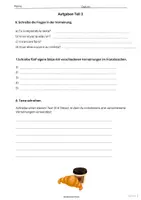 Vorschau - Arbeitsblätter - Französisch – Die Verneinung (la négation) einfach erklärt! | Mit Merkkasten & Lösungen (7./8. Klasse)🇫🇷📋✏️ - Seite 3