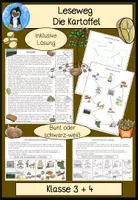 Vorschau - Arbeitsblätter - Kartoffel Sachunterricht - Deckblatt