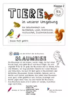 Vorschau - Arbeitsblätter - Tiere in unserer Umgebung_Selbstlernheft Klasse 2 - Seite 2